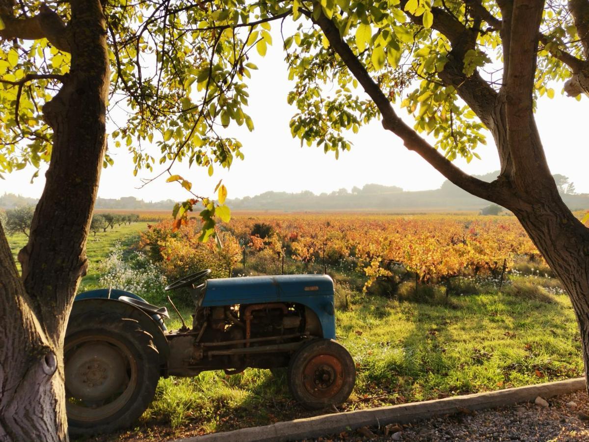 Gite En Provence "Rose" Modene Zewnętrze zdjęcie