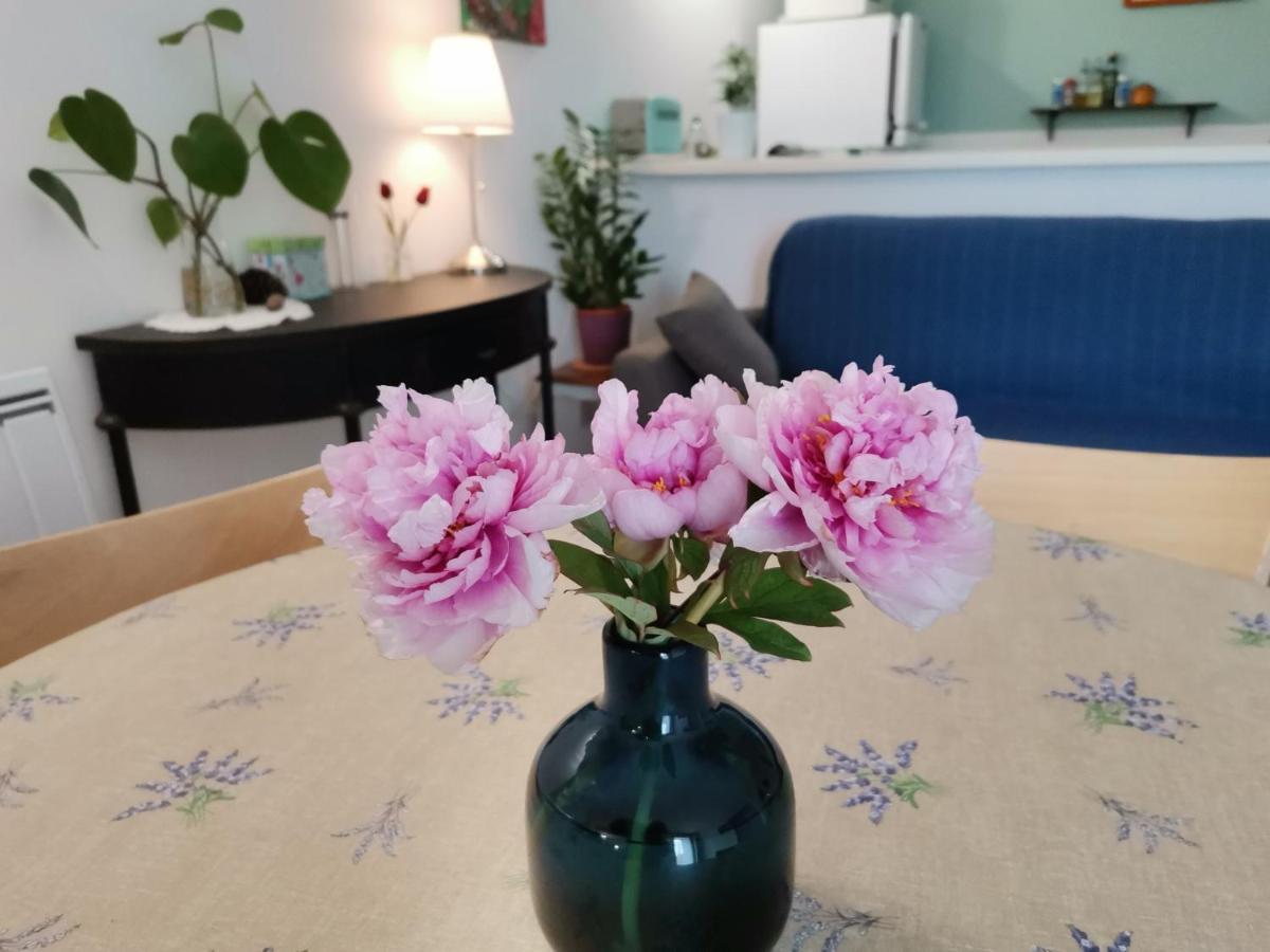 Gite En Provence "Rose" Modene Zewnętrze zdjęcie