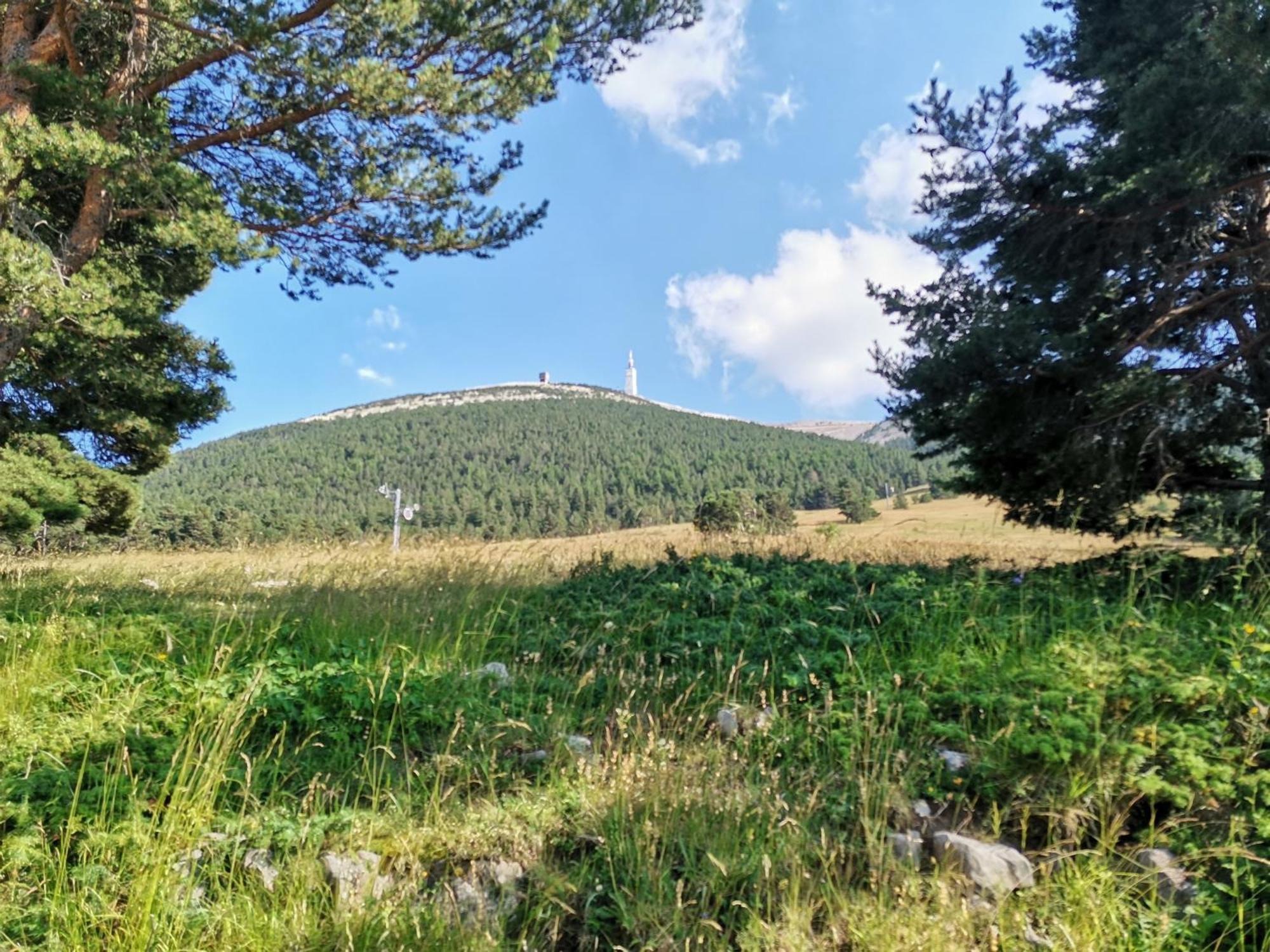 Gite En Provence "Rose" Modene Zewnętrze zdjęcie
