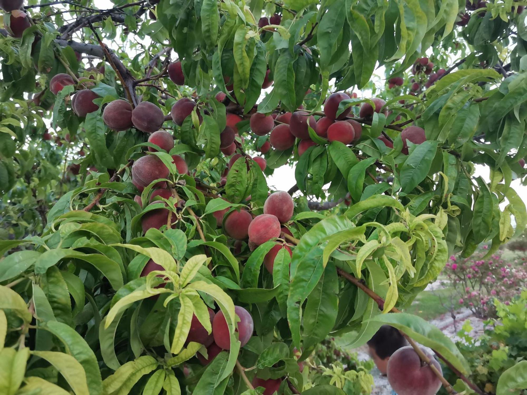 Gite En Provence "Rose" Modene Zewnętrze zdjęcie