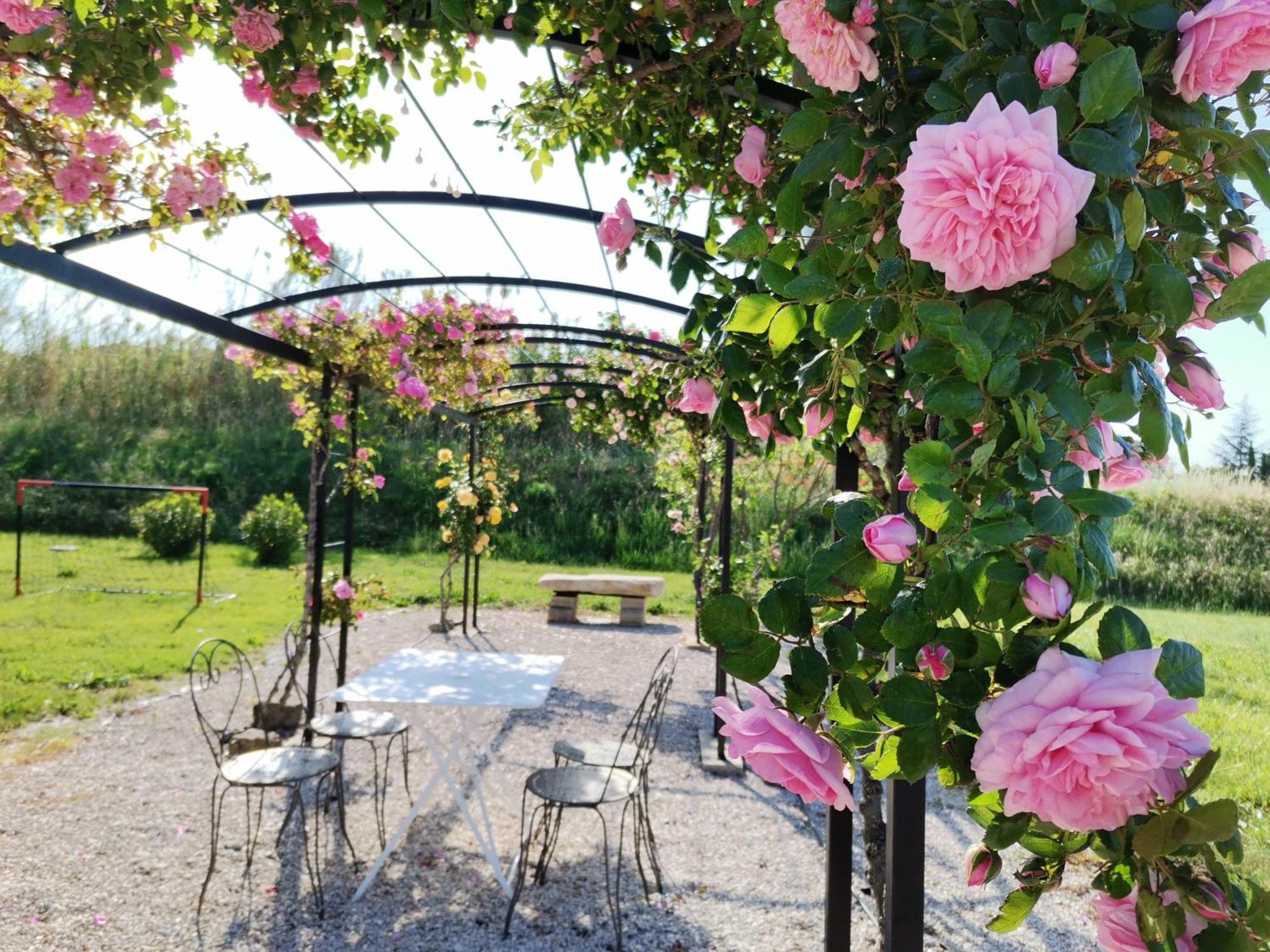 Gite En Provence "Rose" Modene Zewnętrze zdjęcie