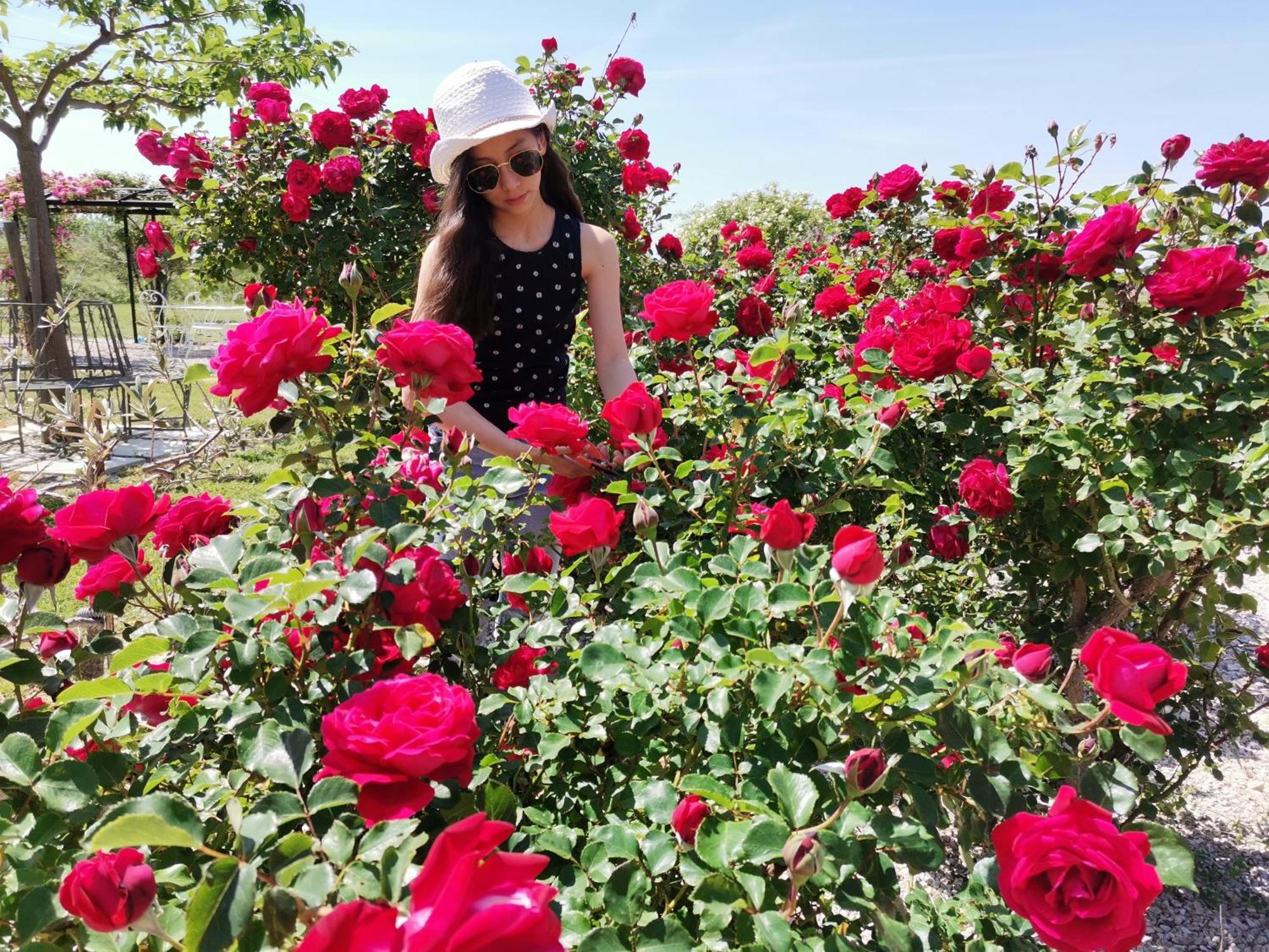 Gite En Provence "Rose" Modene Zewnętrze zdjęcie