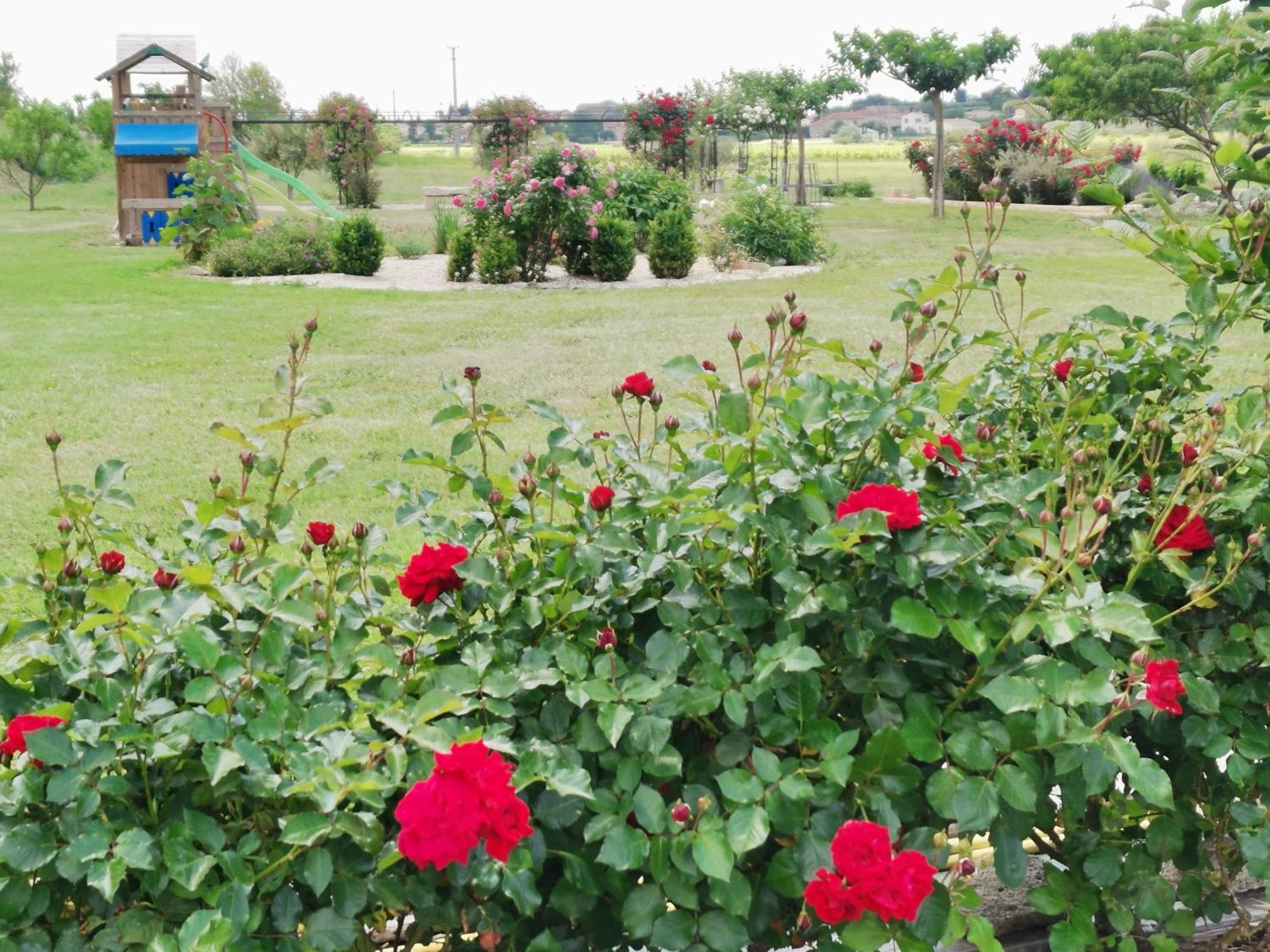Gite En Provence "Rose" Modene Zewnętrze zdjęcie