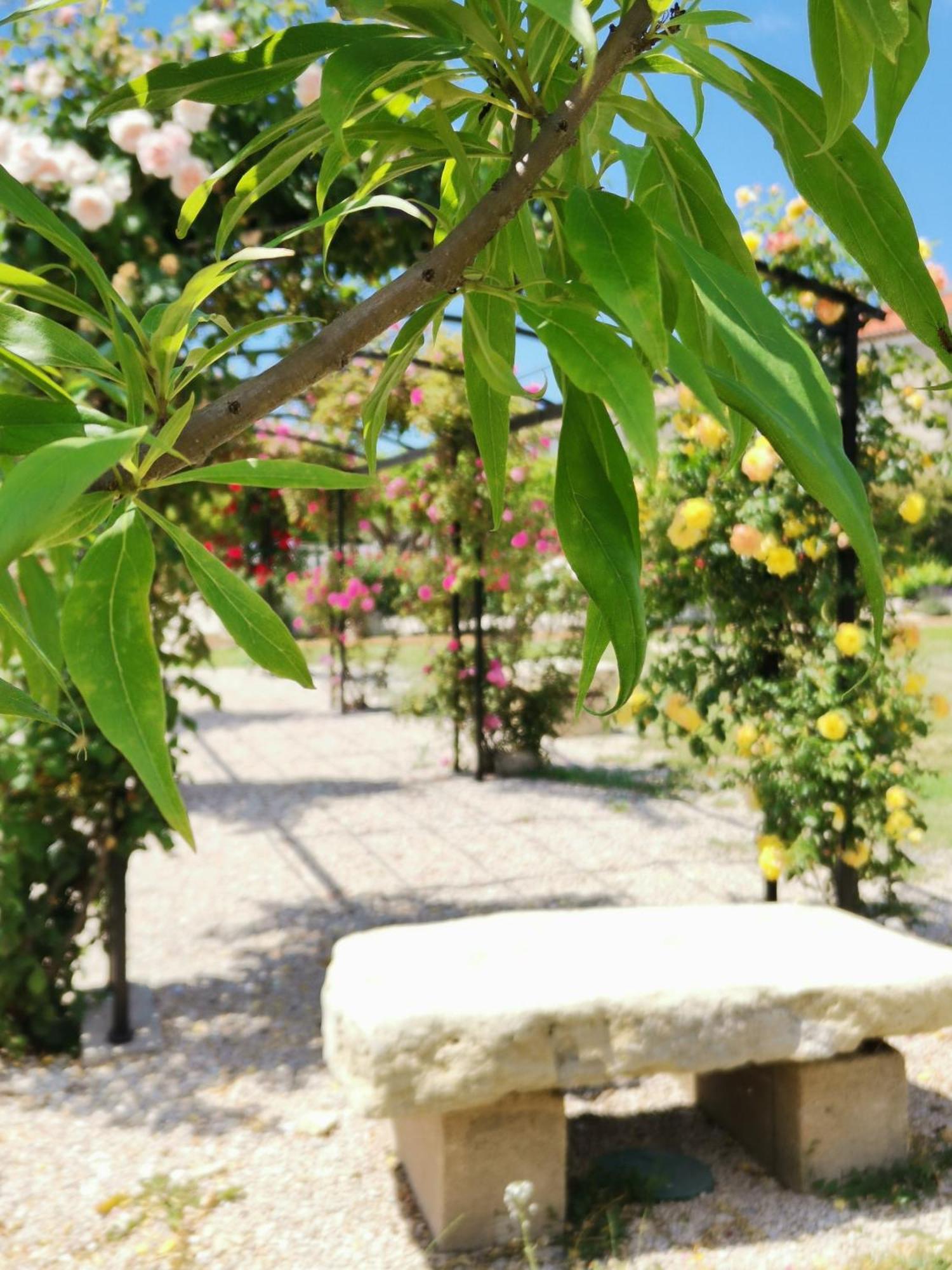 Gite En Provence "Rose" Modene Zewnętrze zdjęcie